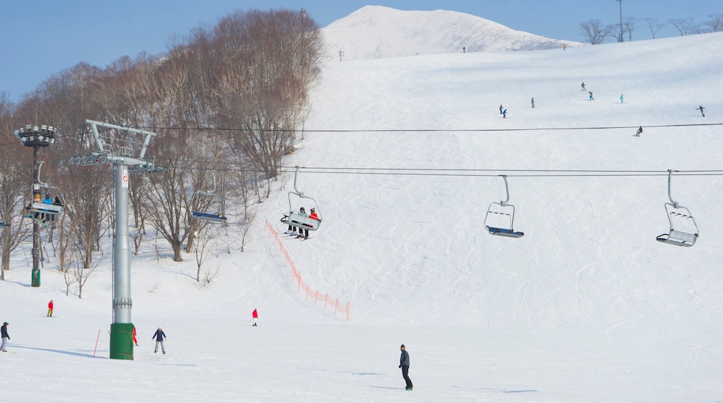 Complejo de esquí Kokusai