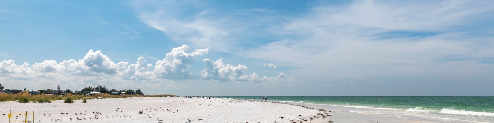 Sarasota_BeanPointBeach_6296220-6