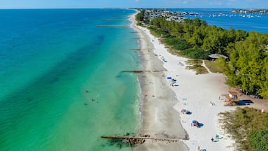 Une plage côtière aux eaux turquoise et limpides, bordée d’un rivage sablonneux et d’une rangée d’arbres le long du littoral.