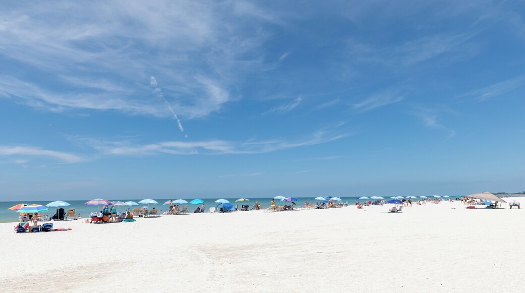 Manatee Public Beach
