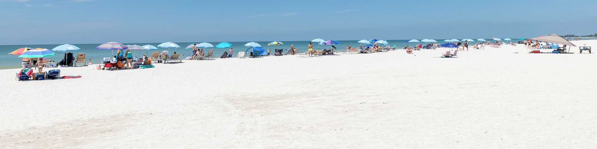 Sarasota_ManateePublicBeach_6296224-6