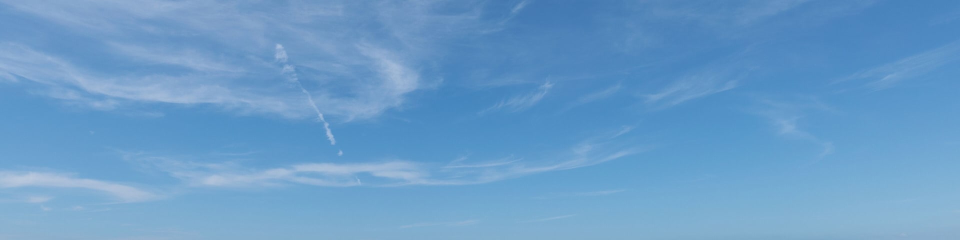 Sarasota_ManateePublicBeach_6296224-6