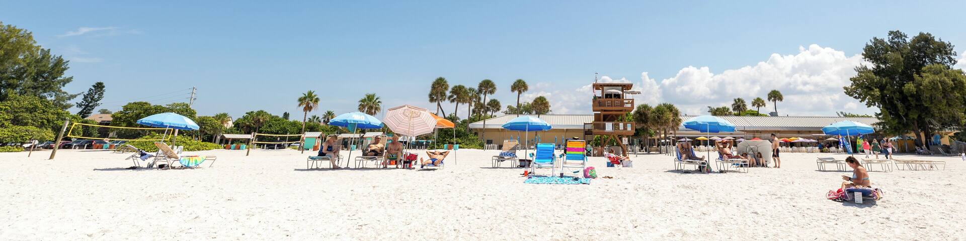 A beach with umbrellas, lounge chairs, and palm trees.