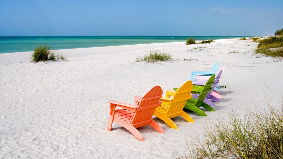 Summer Vacation Beach