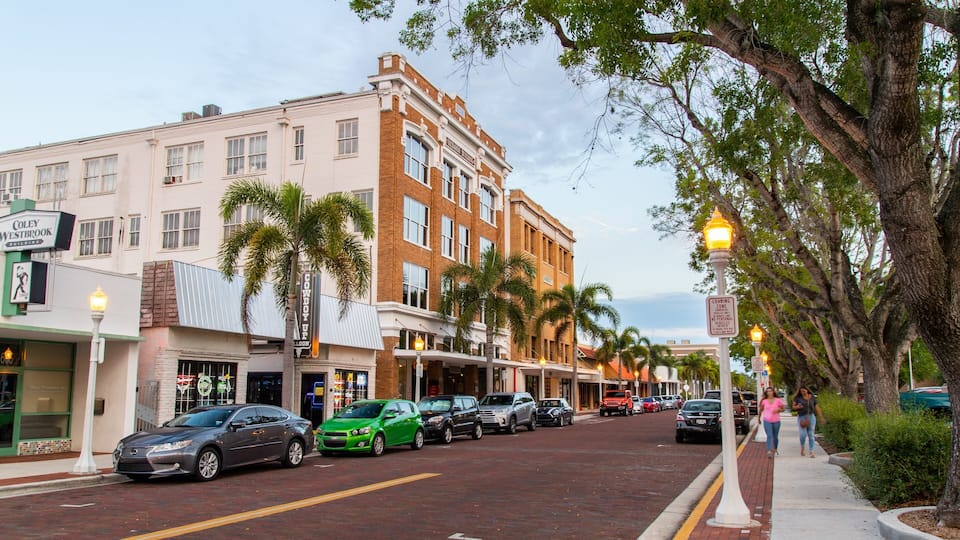 A street lined with palm trees, a mix of commercial buildings, and parked cars.