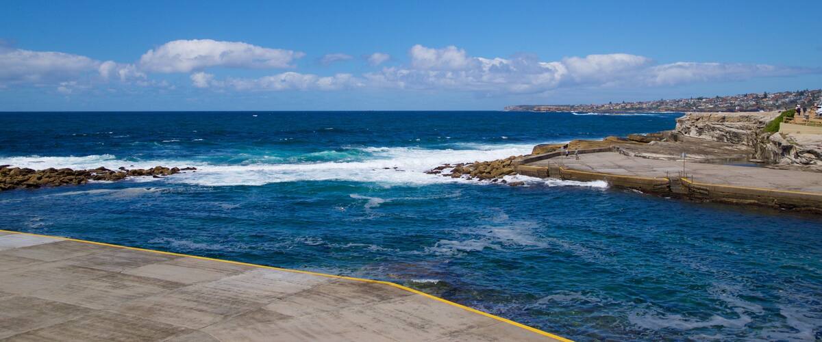 Clovelly Beach showing general coastal views