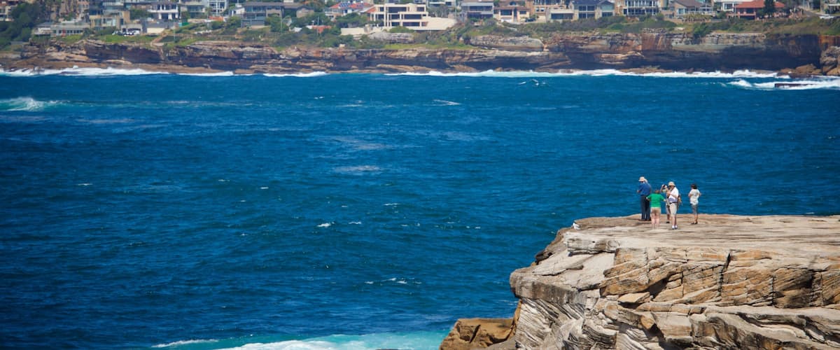 Clovelly Beach showing general coastal views, rugged coastline and a coastal town