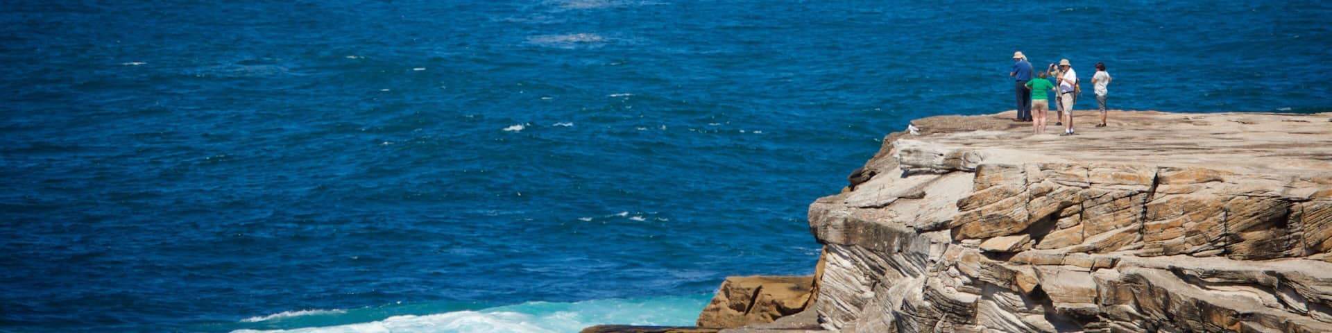 Clovelly Beach showing general coastal views, rugged coastline and a coastal town