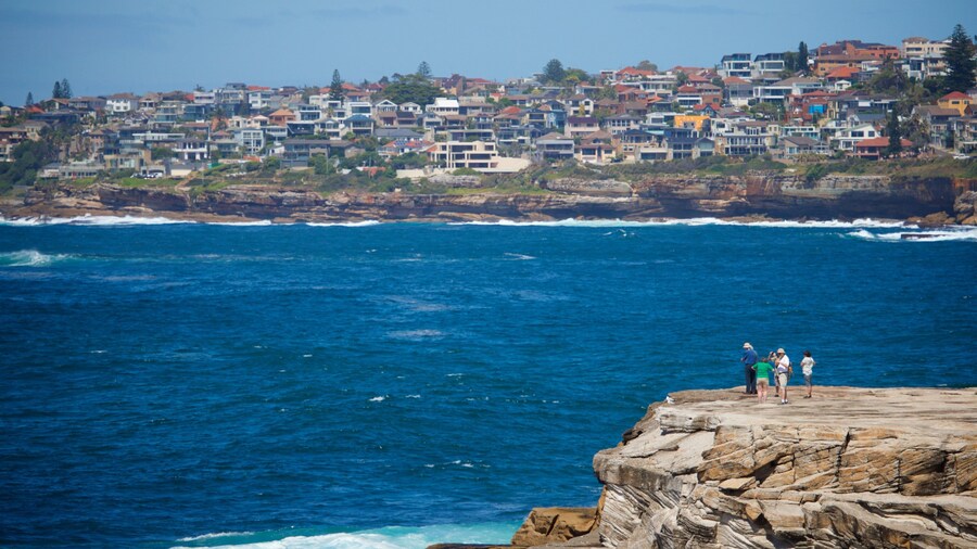 Clovelly Beach showing general coastal views, rugged coastline and a coastal town