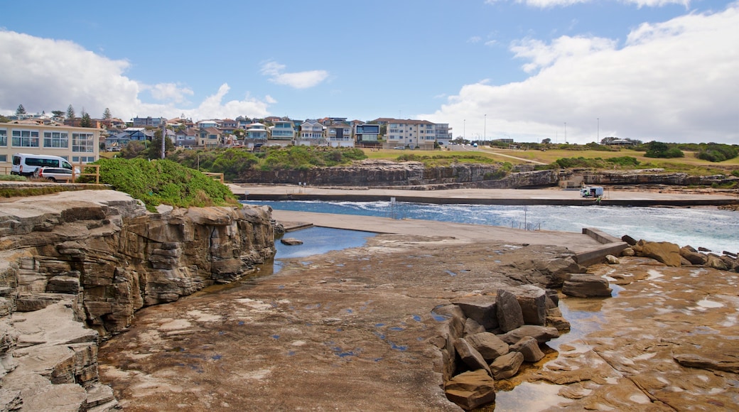 Clovelly Beach featuring a coastal town, rocky coastline and general coastal views