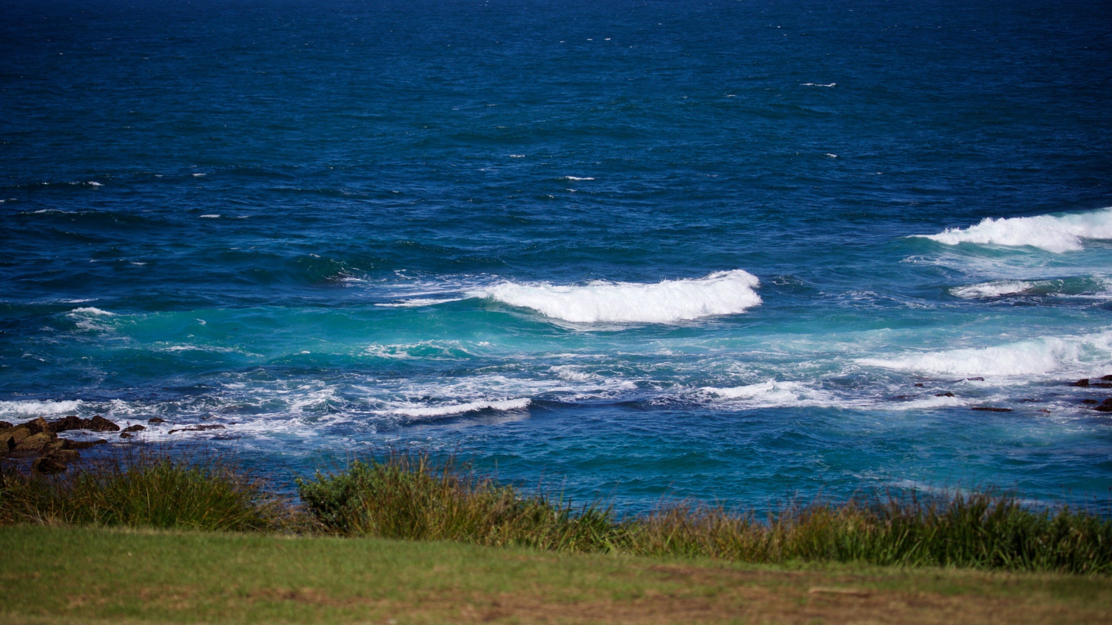 クロヴリー ビーチ 表示 波 と 海岸線の眺め