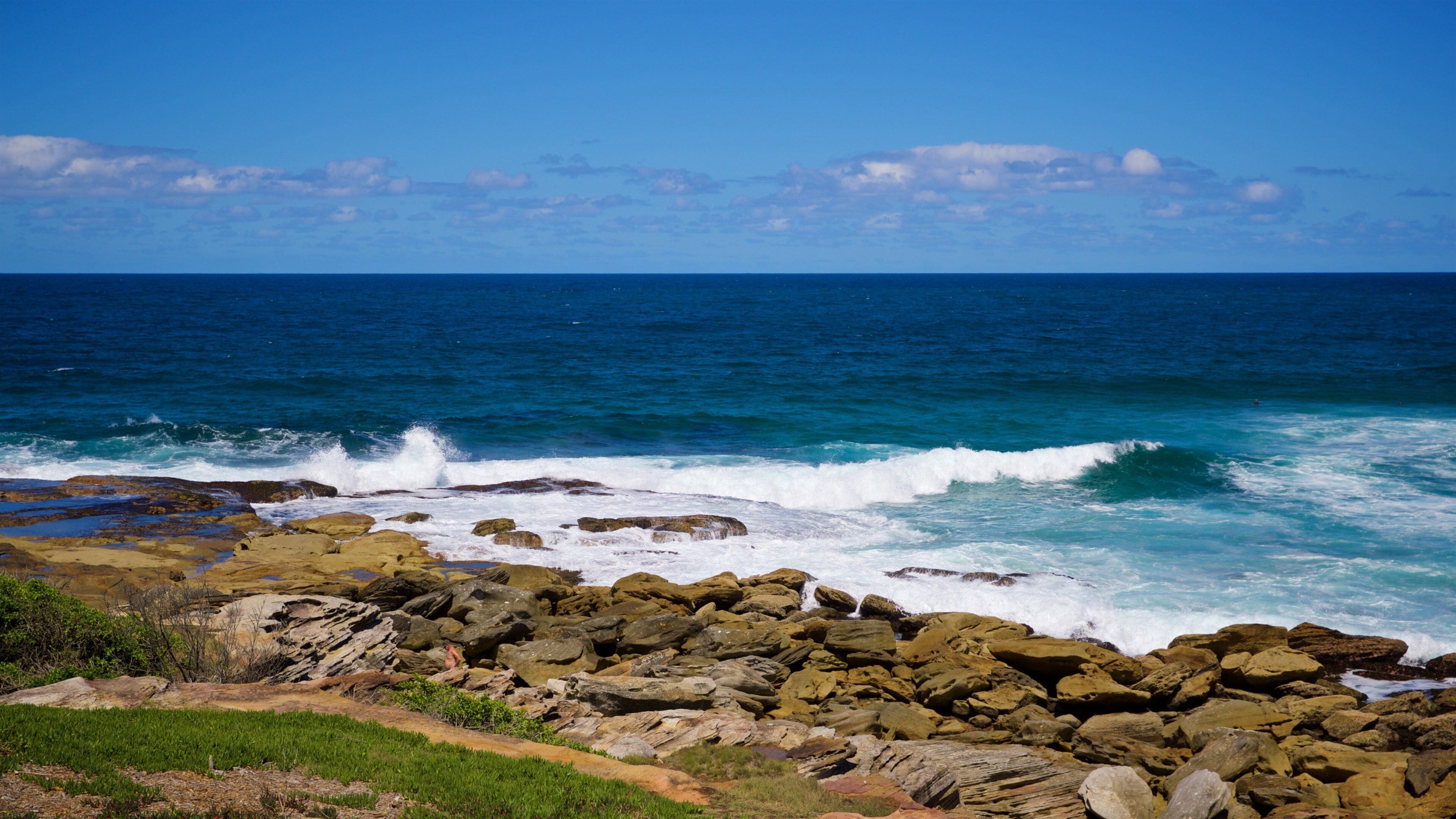Playa de Maroubra que incluye vistas de una costa