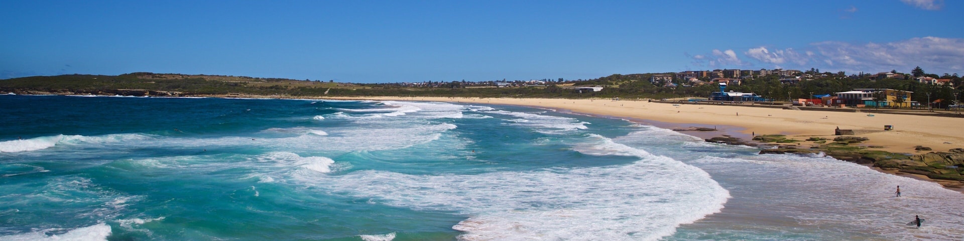 Playa de Maroubra que incluye costa rocosa y vista general a la costa