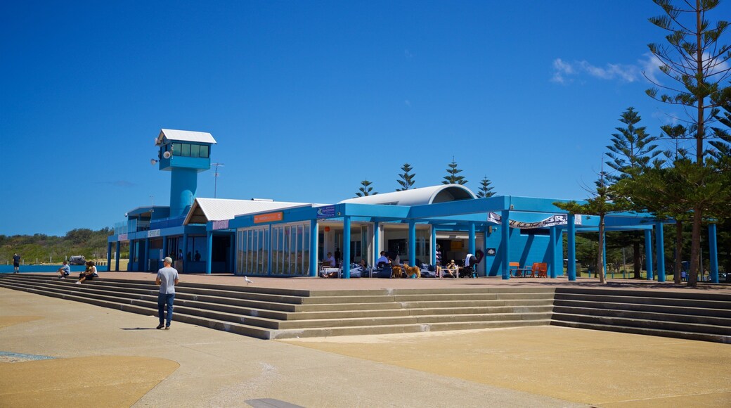 Bãi biển Maroubra