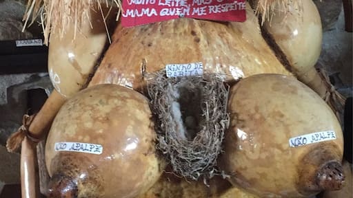 Escultura feita pelo dono de um bar na freguesia . Ele que faz o seu próprio vinho com qualidade Porto.