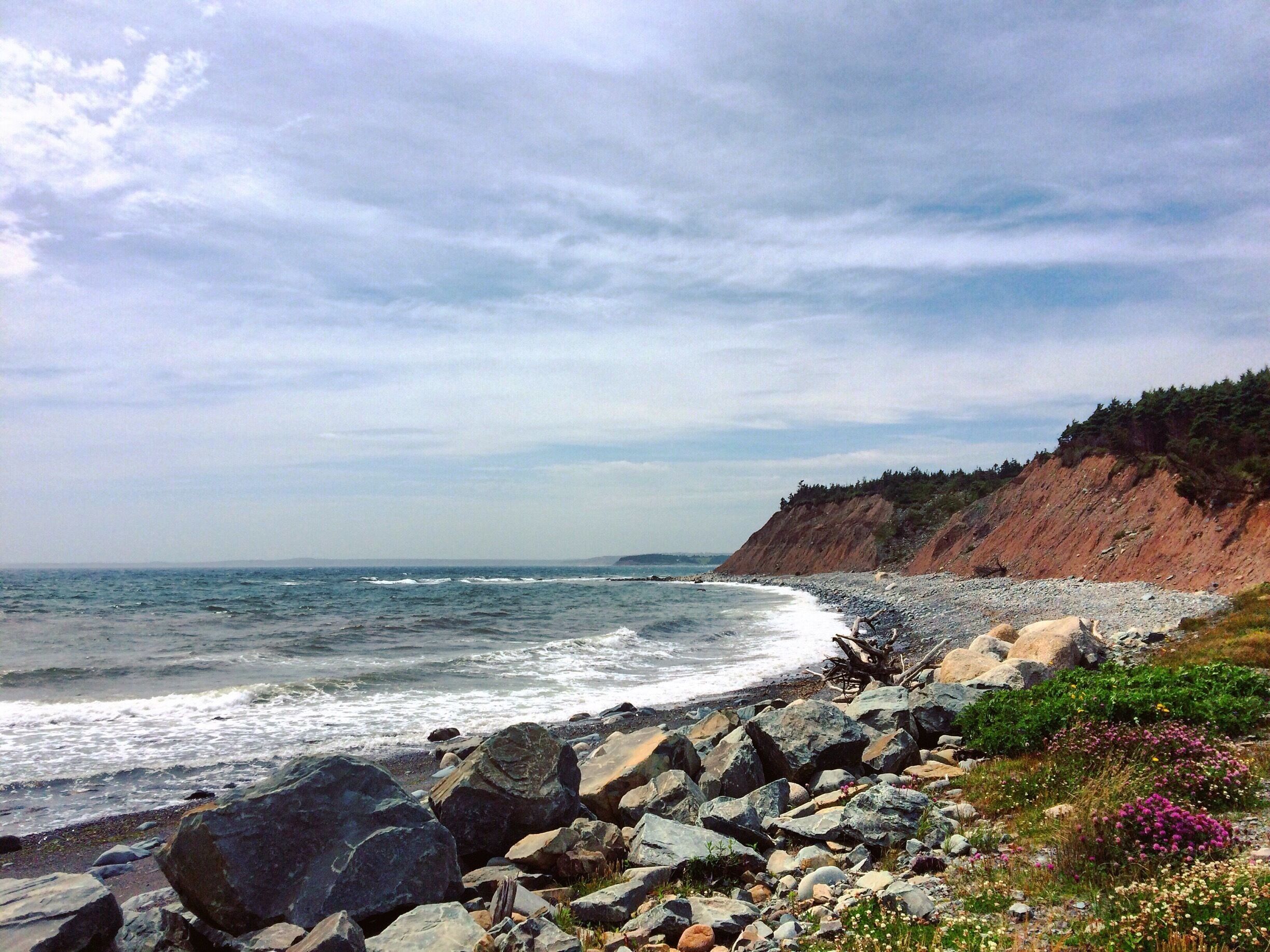 Along the Atlantic view trail in Lawrencetown.