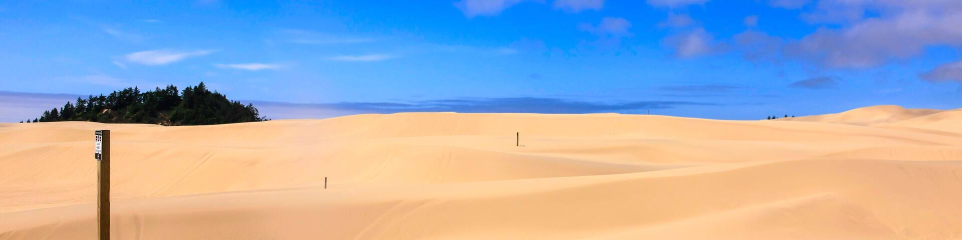 Sand Dunes in the Jessie M. Honeyman Memorial State Park in Oregon, USA