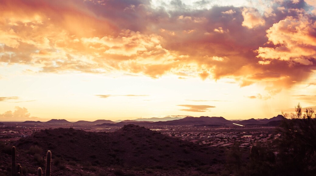 A panorama of a dramatic sunset over the desert with saguaro cactus and colorful clouds in the sky.