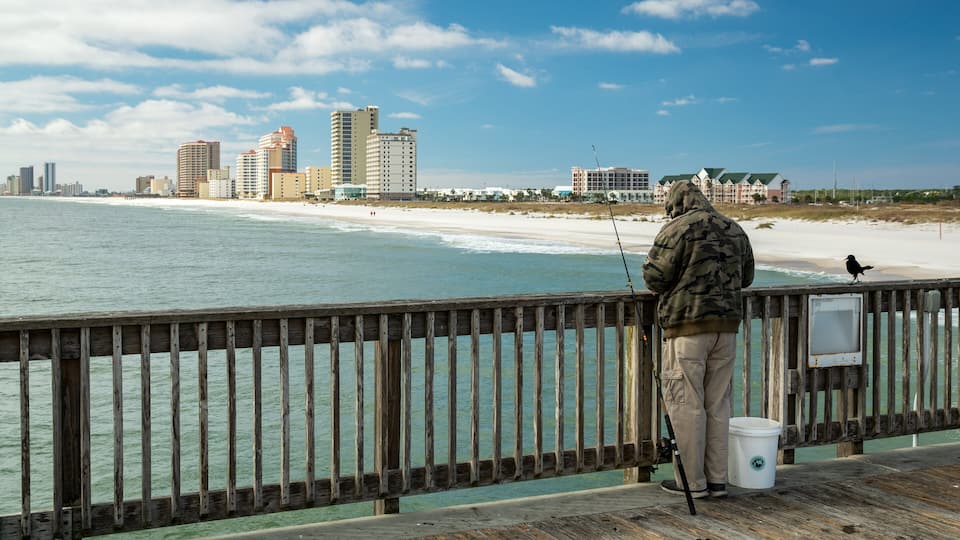 A person fishing on a wooden pier with a city skyline in the background.
