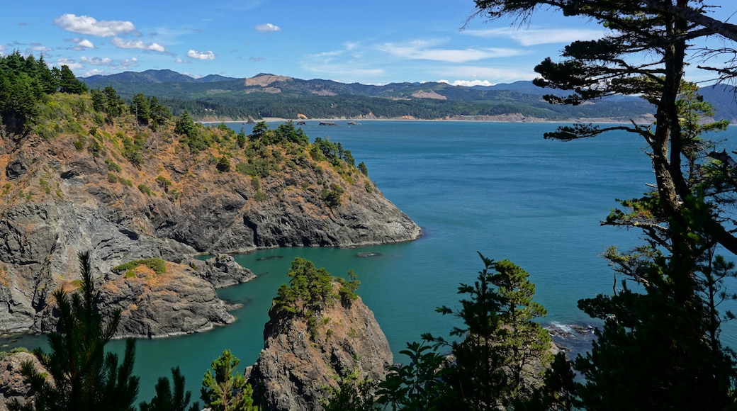 Parc d'Ătat de Port Orford Heads