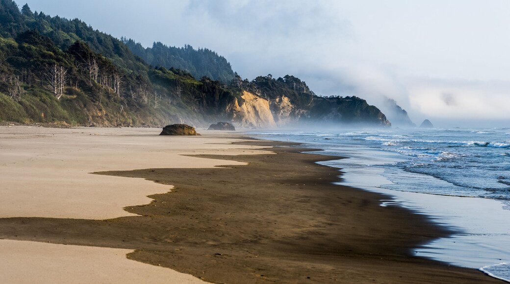 Parque estatal Tolovana Beach