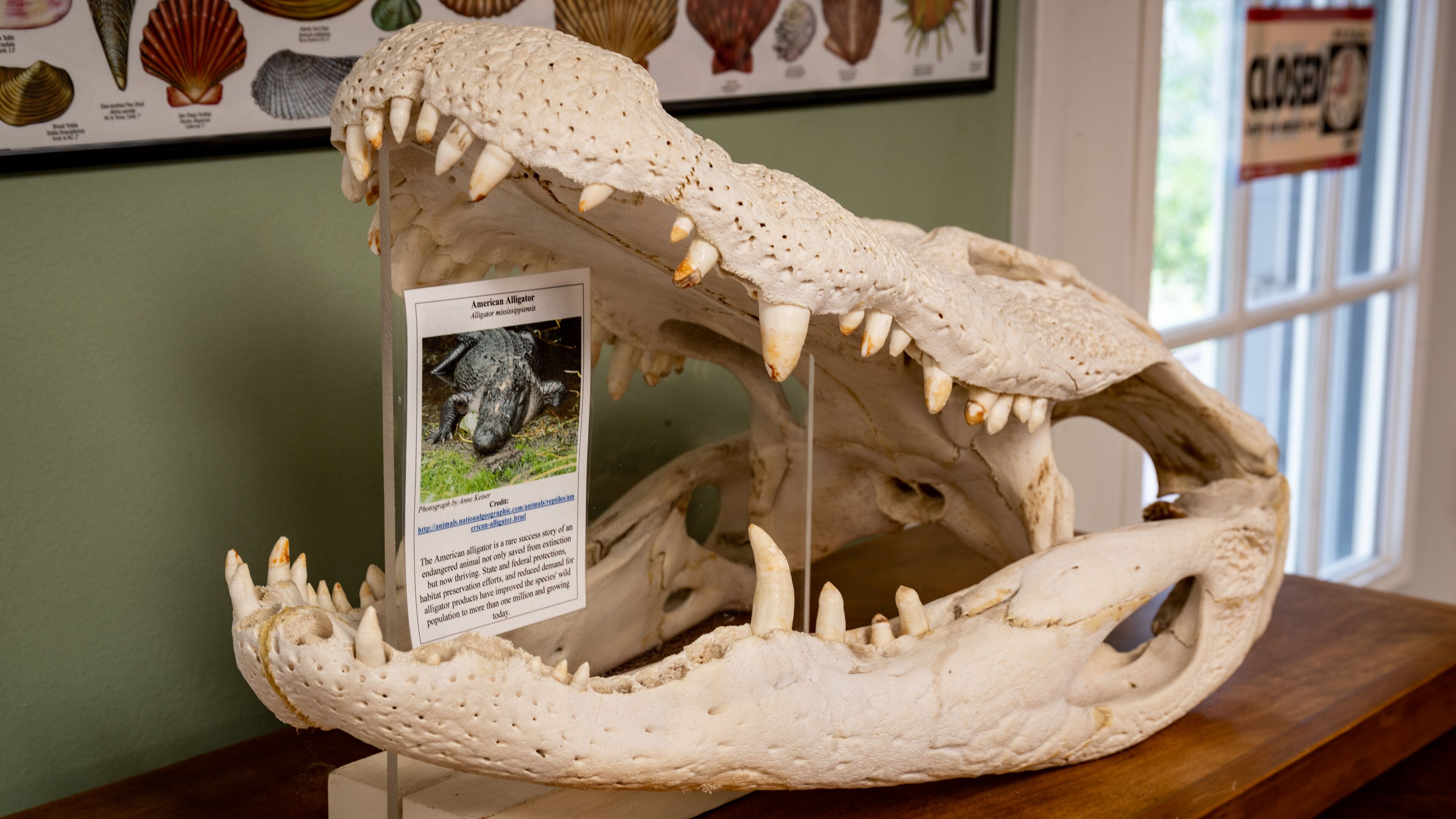Bon Secour National Wildlife Refuge showing signage and interior views