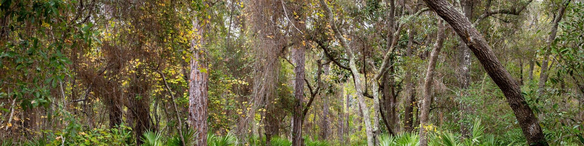 Bon Secour National Wildlife Refuge featuring a garden