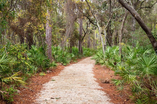 Bon Secour National Wildlife Refuge featuring a garden