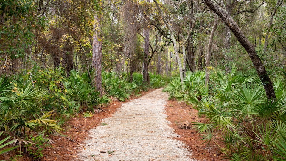 Bon Secour National Wildlife Refuge featuring a garden