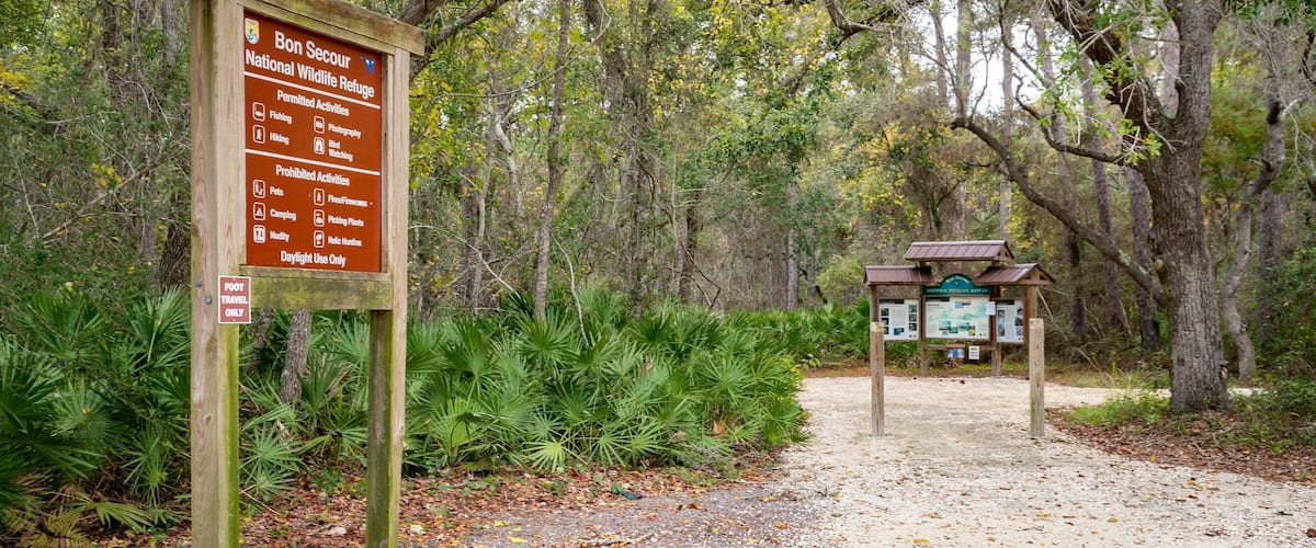 Bon Secour National Wildlife Refuge showing signage and forests