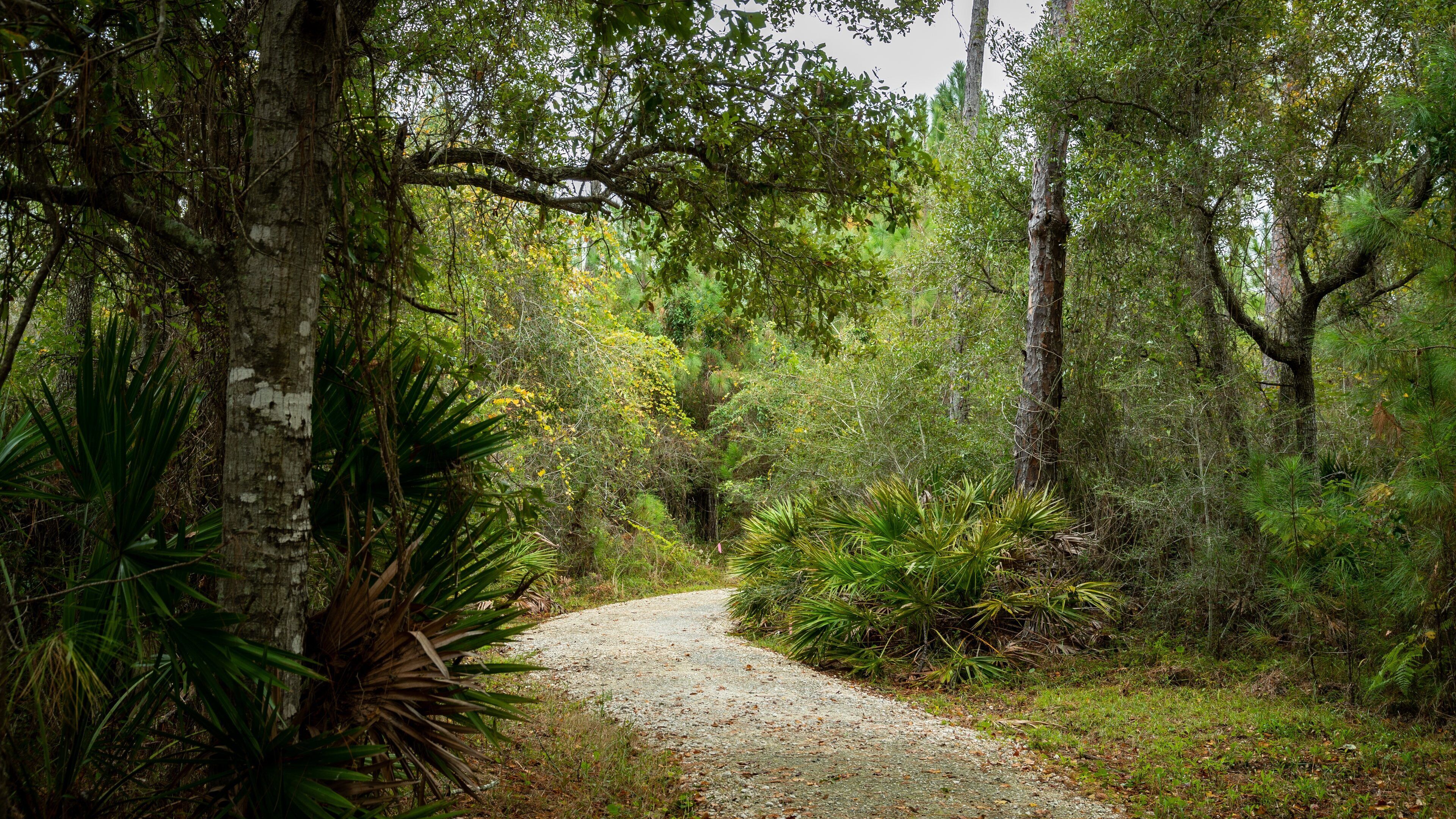 Bon Secour National Wildlife Refuge showing a garden