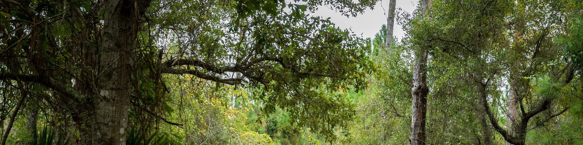 Bon Secour National Wildlife Refuge showing a garden