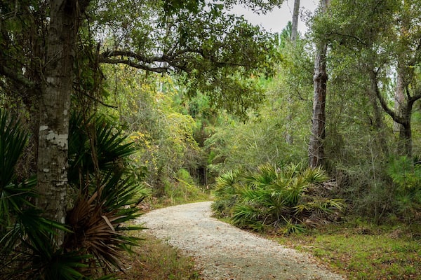 Bon Secour National Wildlife Refuge showing a garden