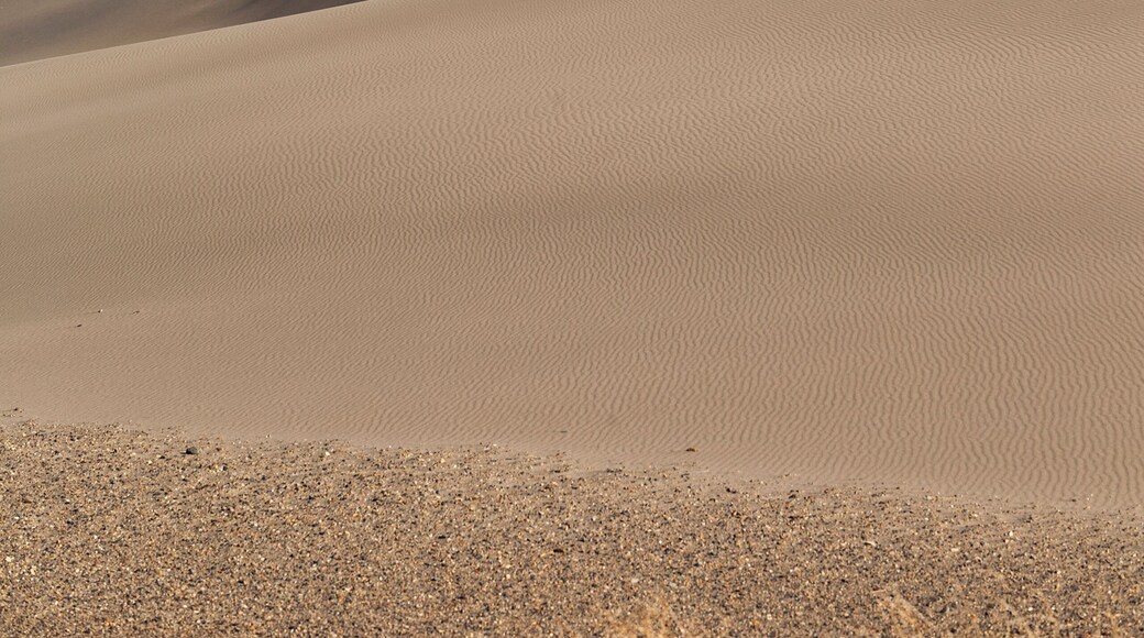 Bruneau Dunes delstatspark