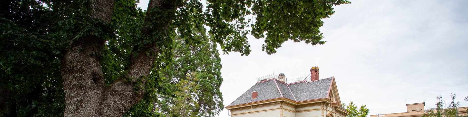 A historic building with a large tree in the foreground.