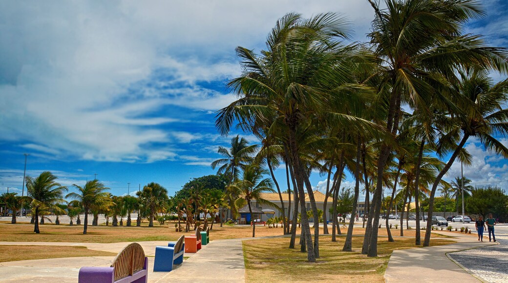 the brazilian beach Orla de Atalaia in the capital, Aracaju, Sergipe , Brazil