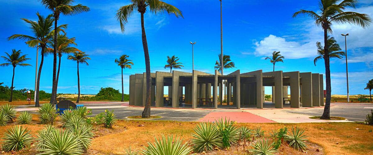 A modern building with a red pathway, surrounded by palm trees and agave plants.