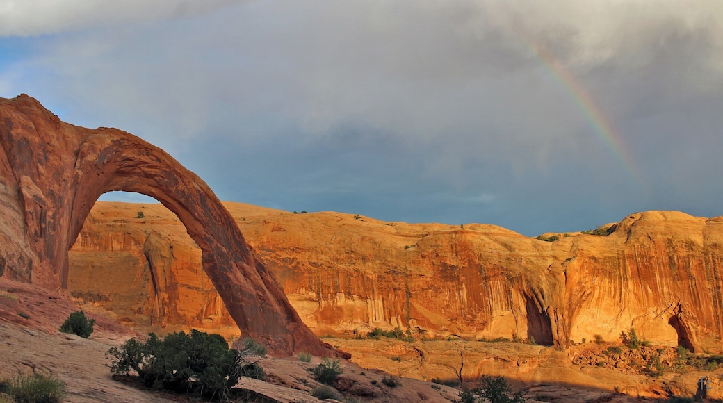 Beautiful trail, spectacular landscape
#OrbitzTravel