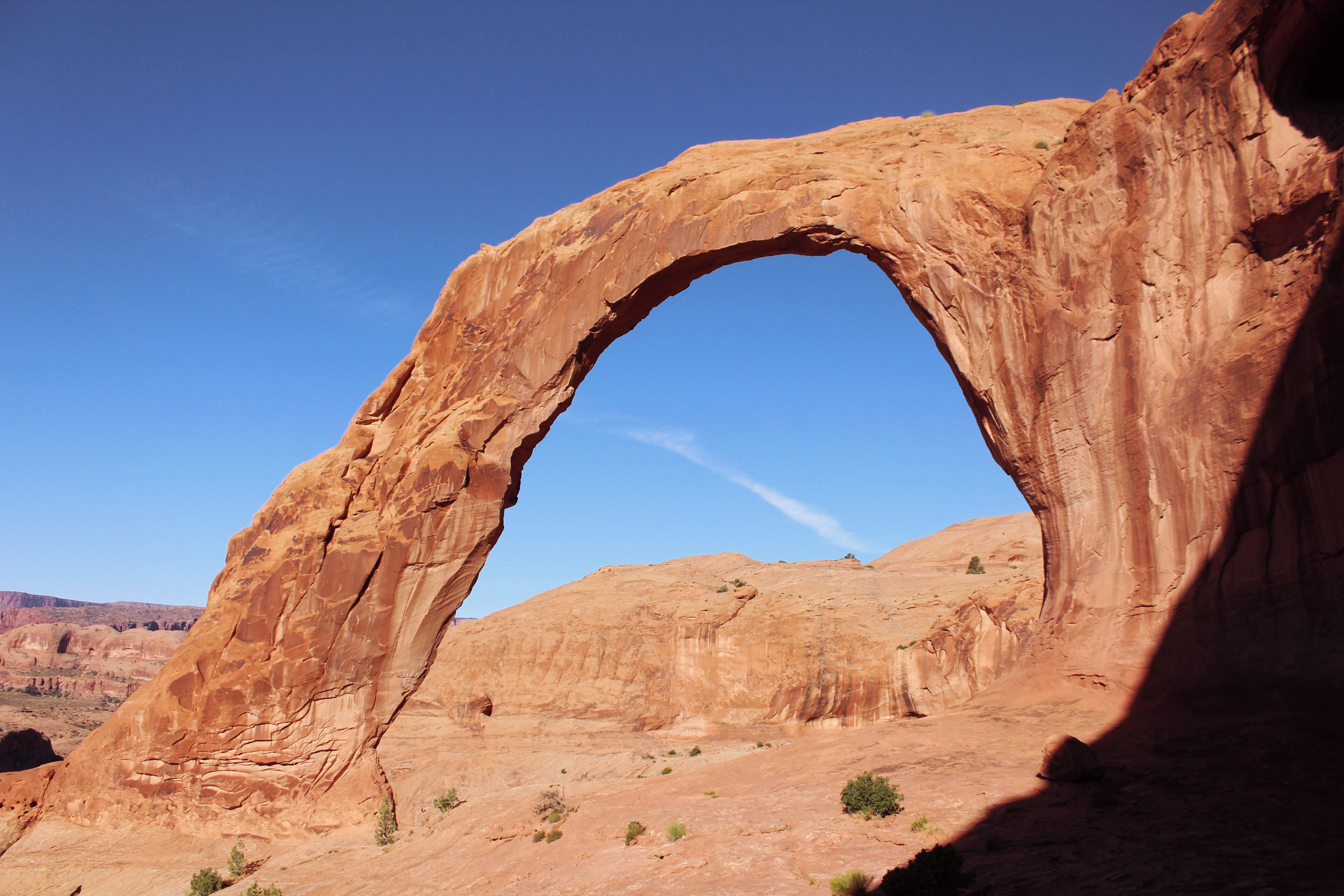 Corona Arch in Arches National park. If you are really daring you can climb up the side of the arch and stand on top, but you better be very brave or very dumb cause one mistake and you will fall hundreds of feet of a sheer cliff.
#Trovember #trovember #trover