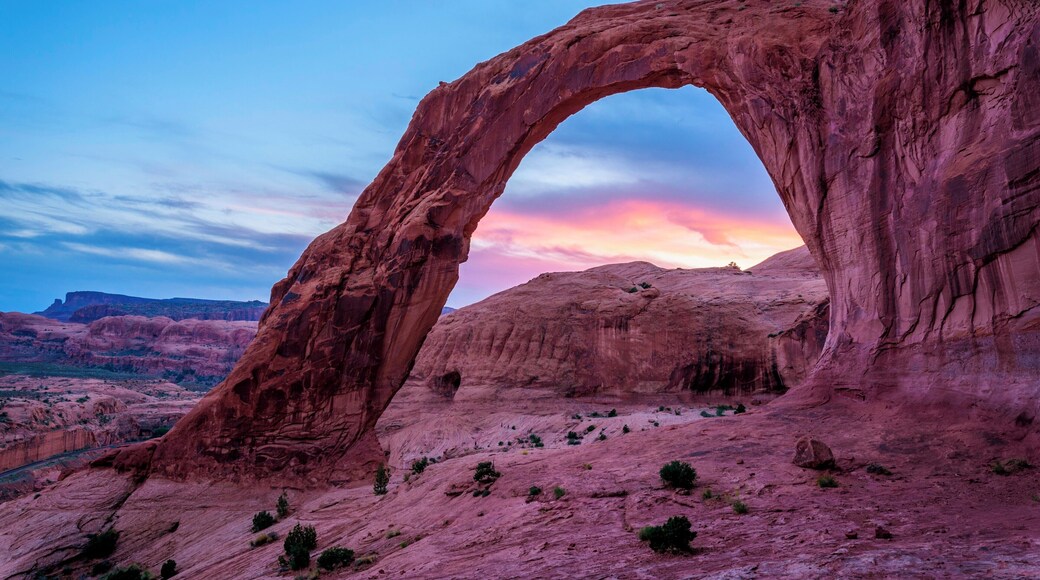 It is a short little hike of about 3.7 km. The scene was almost empty and probably a way better place to capture the sunset than in the nearby Arches National Park.
#bvsblue #GreatOutdoors