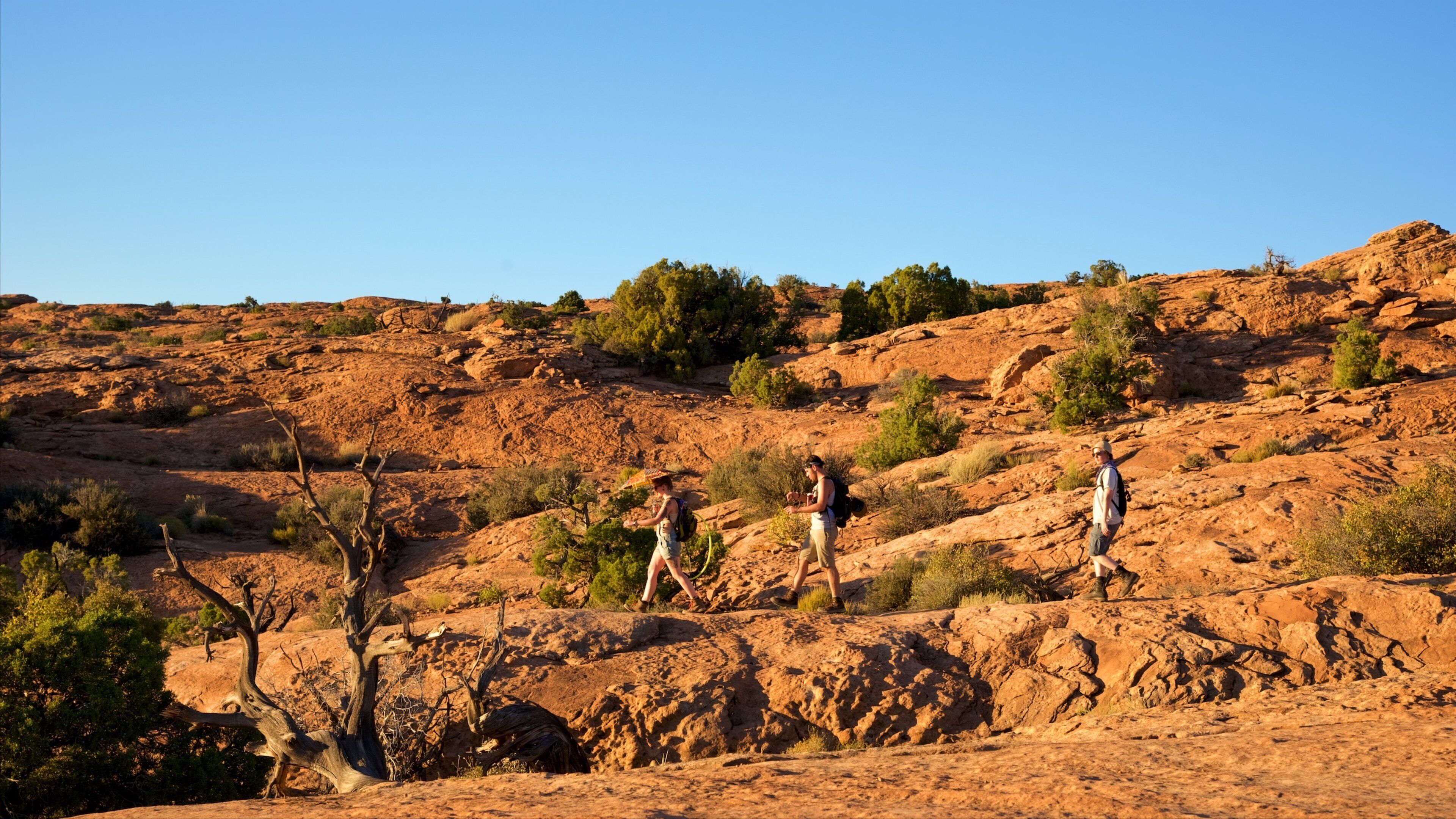 Delicate Arch que inclui paisagem, escalada ou caminhada e cenas tranquilas