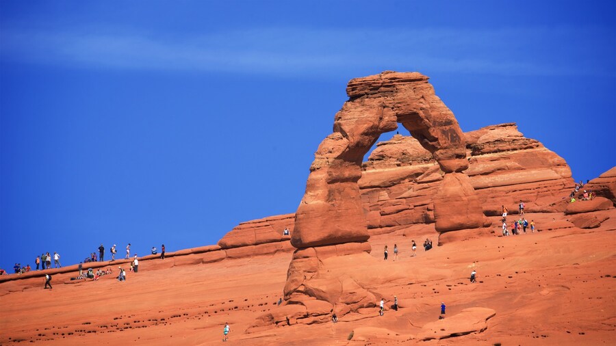 Moab showing desert views as well as a large group of people