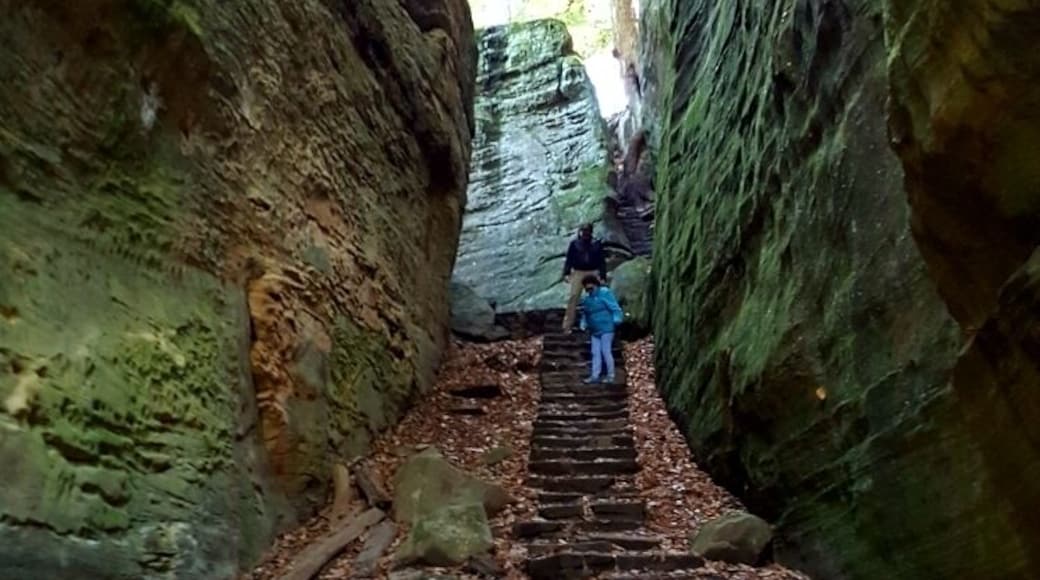Cantwell Cliffs, in Ohio's Hocking Hills Region is a great place for a hike.