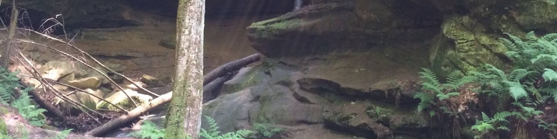 Mid-summer hike last July in Hocking County.