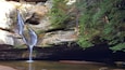 It's about a 3 mile hike from Old Man's Cave to Cedar Falls, in Ohio's Hocking Hills Region.