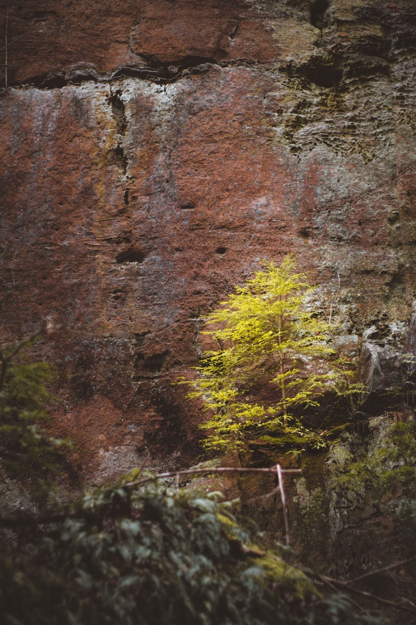 When you fit in, you don’t stand out. 
.
.
.
.
#themundlife #ExploreMoreOutdoors #pocket_world #ig_landscape  #dream_spots #visual_heaven #landscapephoto #landscape_lover #natgeoadventure #earthexperience #mthrworld #majestic_earth  #igworldglobal #ilovenature #ig_divineshots #natgeotravelpic #epic_captures #awesomeglobe #splendid_earth #earth_portraits #natureperfection #beautyofnature #places_wow #nakedplanet #theglobewanderer #stayandwander #keepitwild #lifeincolumbus #moodygram