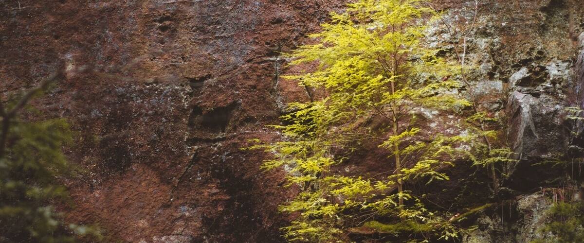 When you fit in, you don’t stand out.
.
.
.
.
#themundlife #ExploreMoreOutdoors #pocket_world #ig_landscape #dream_spots #visual_heaven #landscapephoto #landscape_lover #natgeoadventure #earthexperience #mthrworld #majestic_earth #igworldglobal #ilovenature #ig_divineshots #natgeotravelpic #epic_captures #awesomeglobe #splendid_earth #earth_portraits #natureperfection #beautyofnature #places_wow #nakedplanet #theglobewanderer #stayandwander #keepitwild #lifeincolumbus #moodygram