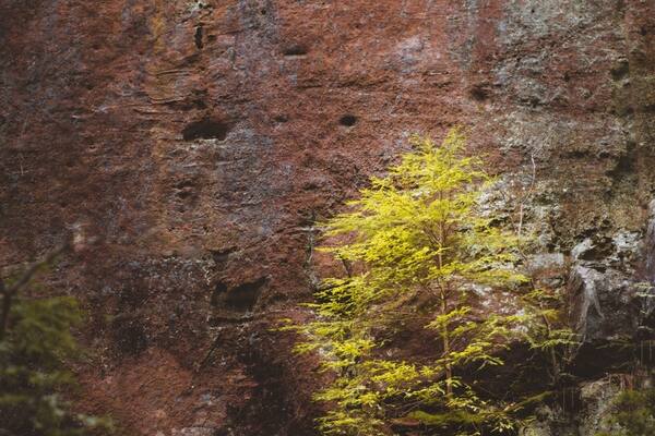 When you fit in, you don’t stand out.
.
.
.
.
#themundlife #ExploreMoreOutdoors #pocket_world #ig_landscape #dream_spots #visual_heaven #landscapephoto #landscape_lover #natgeoadventure #earthexperience #mthrworld #majestic_earth #igworldglobal #ilovenature #ig_divineshots #natgeotravelpic #epic_captures #awesomeglobe #splendid_earth #earth_portraits #natureperfection #beautyofnature #places_wow #nakedplanet #theglobewanderer #stayandwander #keepitwild #lifeincolumbus #moodygram