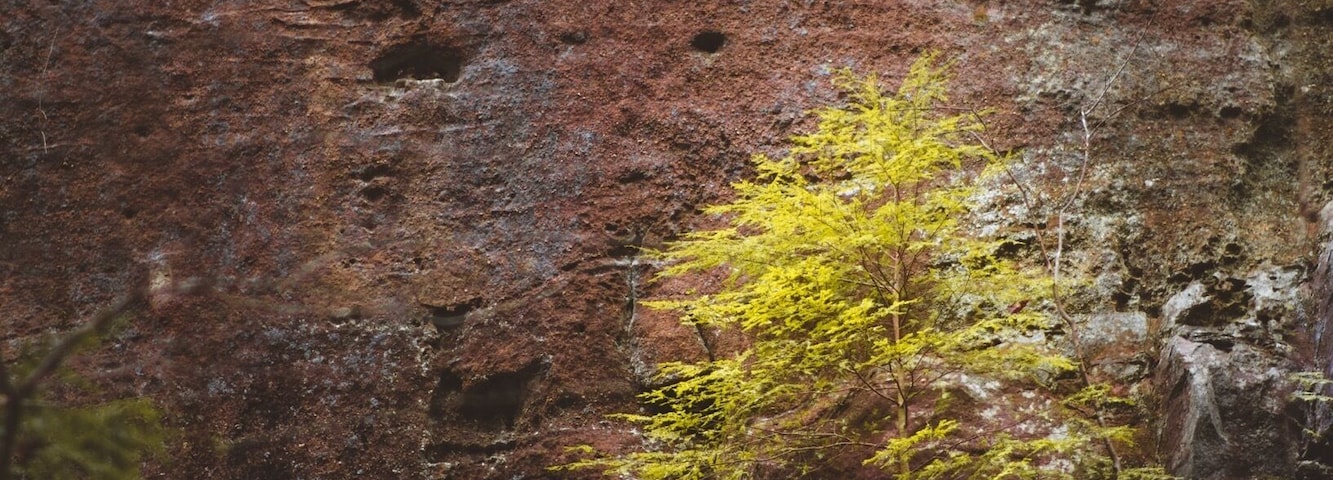 When you fit in, you don’t stand out.
.
.
.
.
#themundlife #ExploreMoreOutdoors #pocket_world #ig_landscape #dream_spots #visual_heaven #landscapephoto #landscape_lover #natgeoadventure #earthexperience #mthrworld #majestic_earth #igworldglobal #ilovenature #ig_divineshots #natgeotravelpic #epic_captures #awesomeglobe #splendid_earth #earth_portraits #natureperfection #beautyofnature #places_wow #nakedplanet #theglobewanderer #stayandwander #keepitwild #lifeincolumbus #moodygram