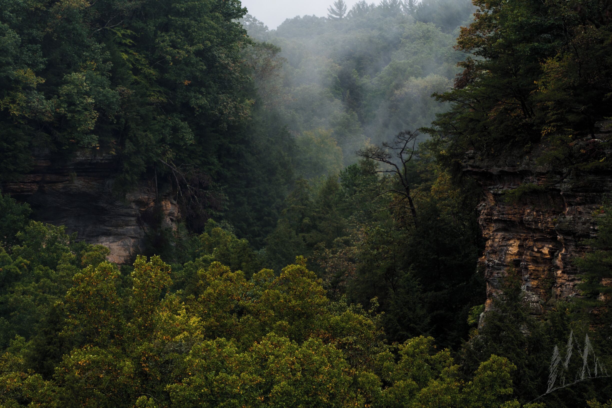 Loving this little moody shot of Conkles Hollow.  This was taken from the rim trail (east side).  This place is beautiful!  Views like this from the top and waterfalls and lush foliage in the gorge trail.  Highly recommend this place!